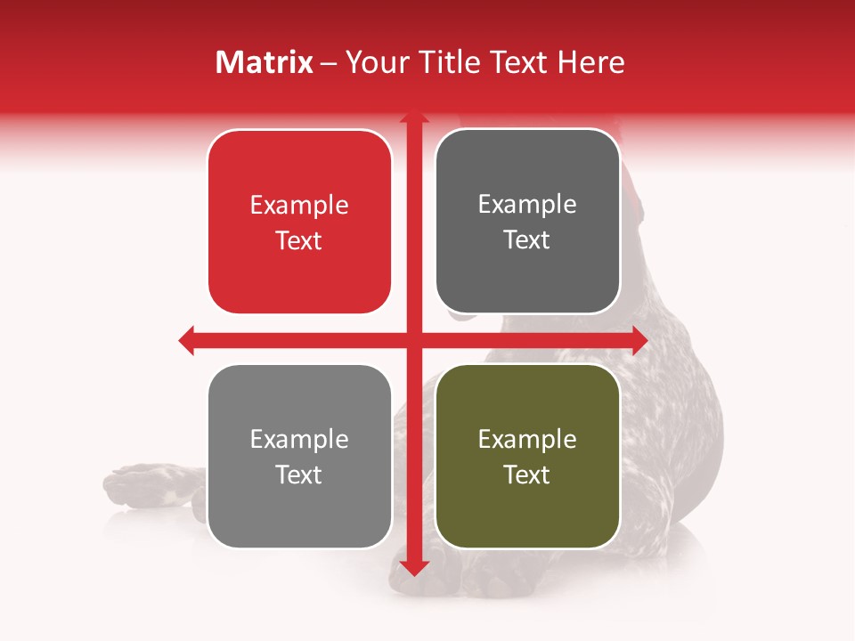 Halloween Studio Pointer PowerPoint Template