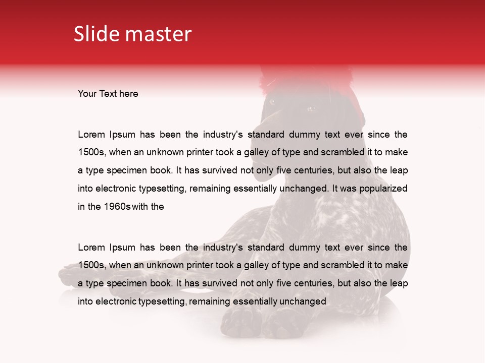 Halloween Studio Pointer PowerPoint Template