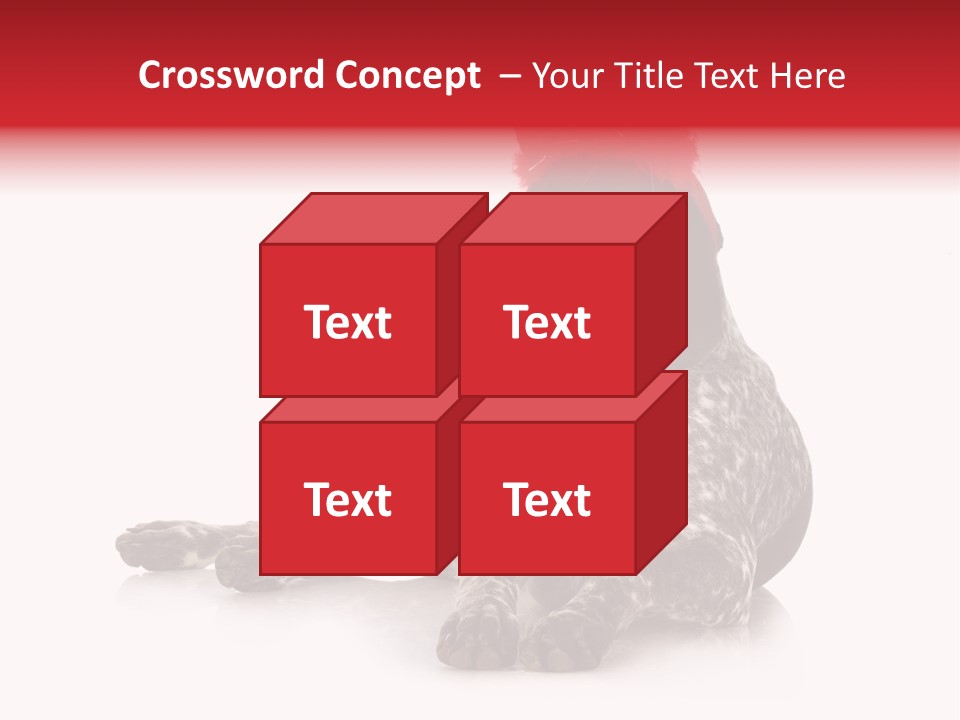 Halloween Studio Pointer PowerPoint Template