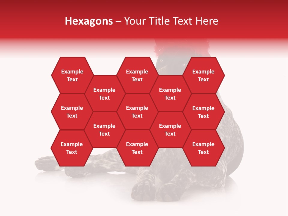 Halloween Studio Pointer PowerPoint Template