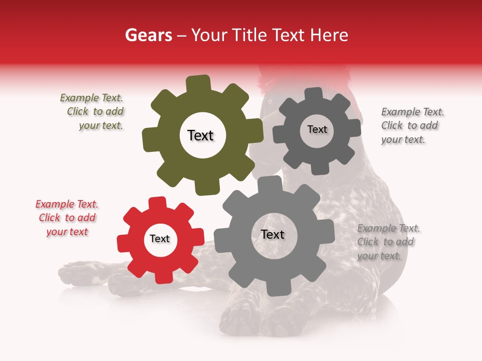 Halloween Studio Pointer PowerPoint Template