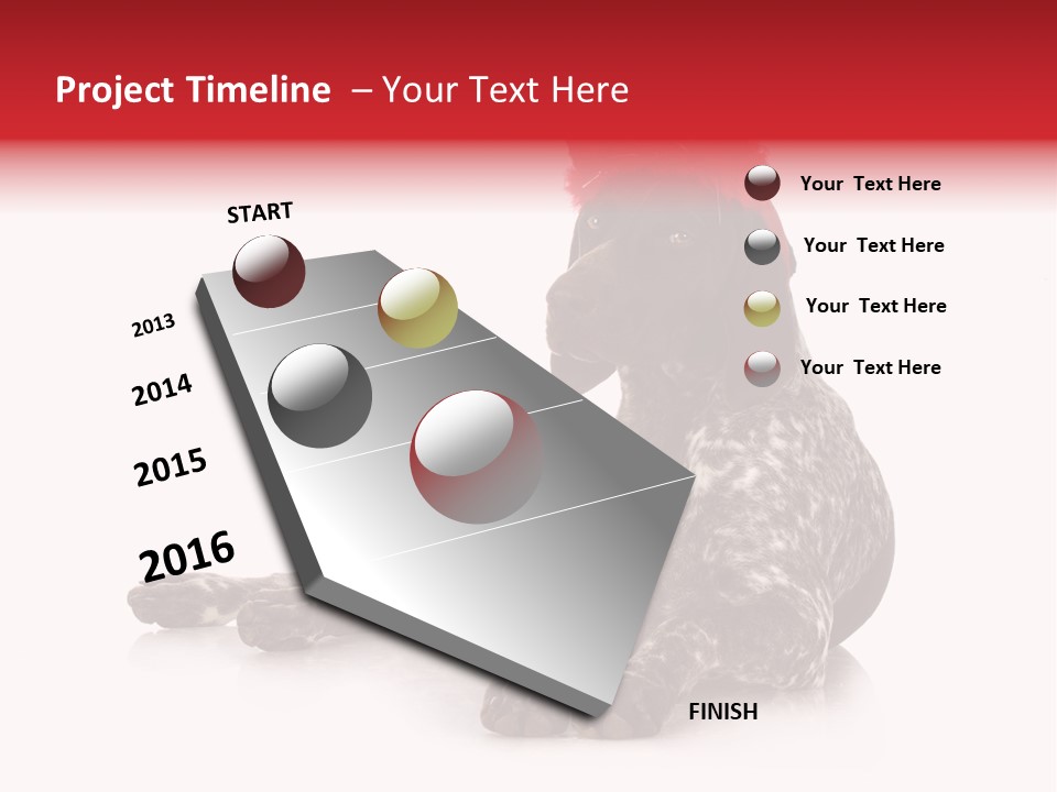 Halloween Studio Pointer PowerPoint Template