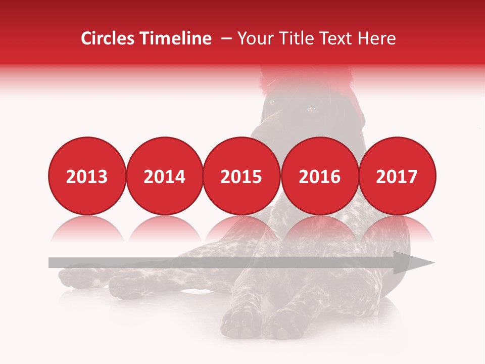 Halloween Studio Pointer PowerPoint Template