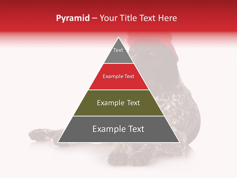 Halloween Studio Pointer PowerPoint Template