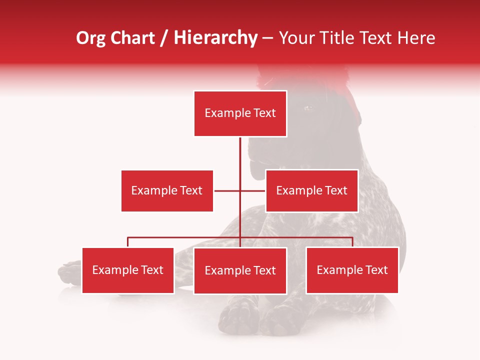 Halloween Studio Pointer PowerPoint Template
