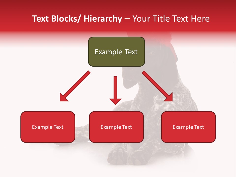 Halloween Studio Pointer PowerPoint Template