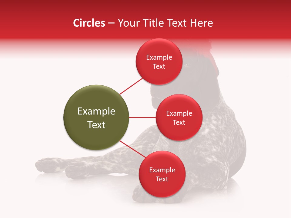 Halloween Studio Pointer PowerPoint Template