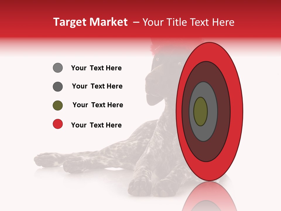 Halloween Studio Pointer PowerPoint Template