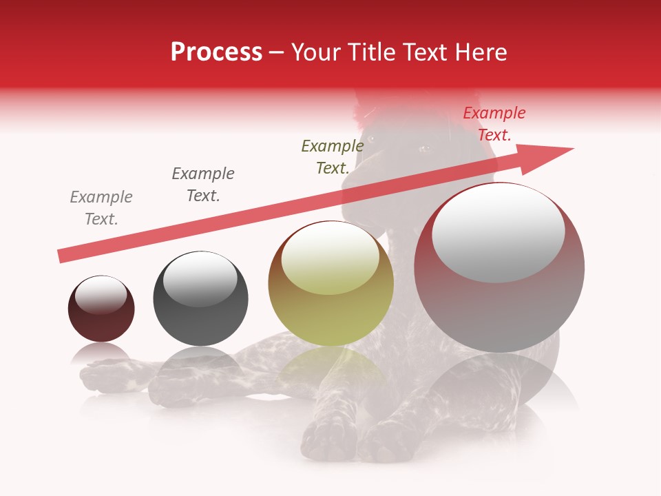 Halloween Studio Pointer PowerPoint Template