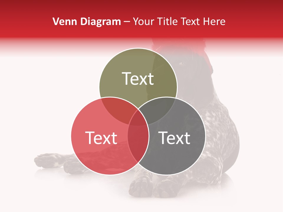 Halloween Studio Pointer PowerPoint Template