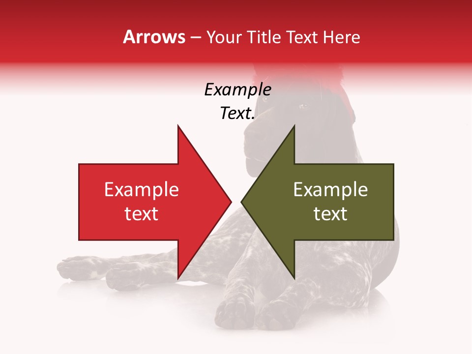 Halloween Studio Pointer PowerPoint Template