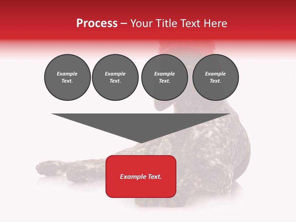 Halloween Studio Pointer PowerPoint Template