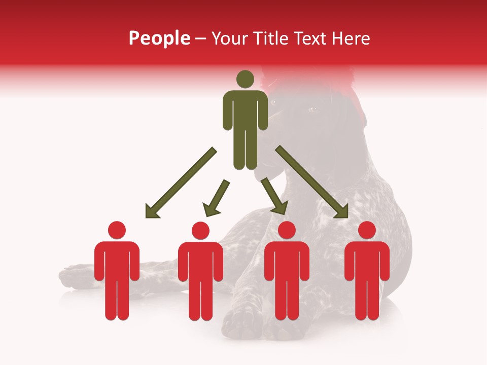 Halloween Studio Pointer PowerPoint Template