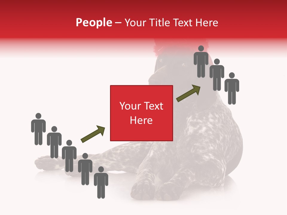 Halloween Studio Pointer PowerPoint Template