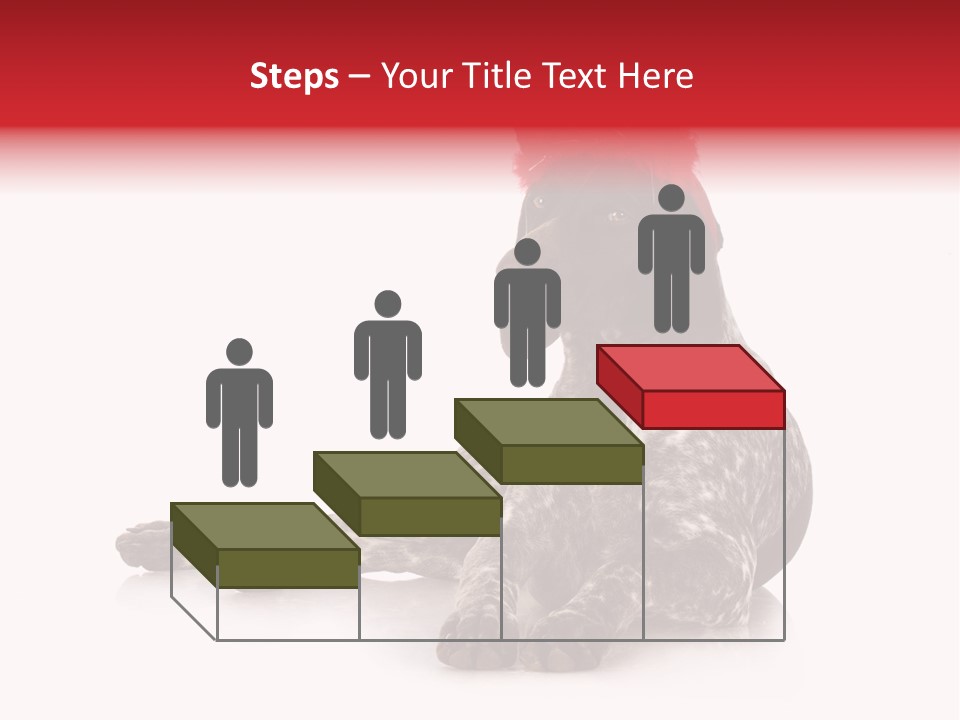 Halloween Studio Pointer PowerPoint Template