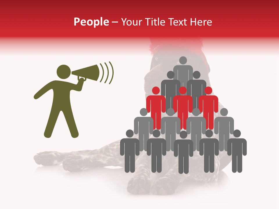 Halloween Studio Pointer PowerPoint Template