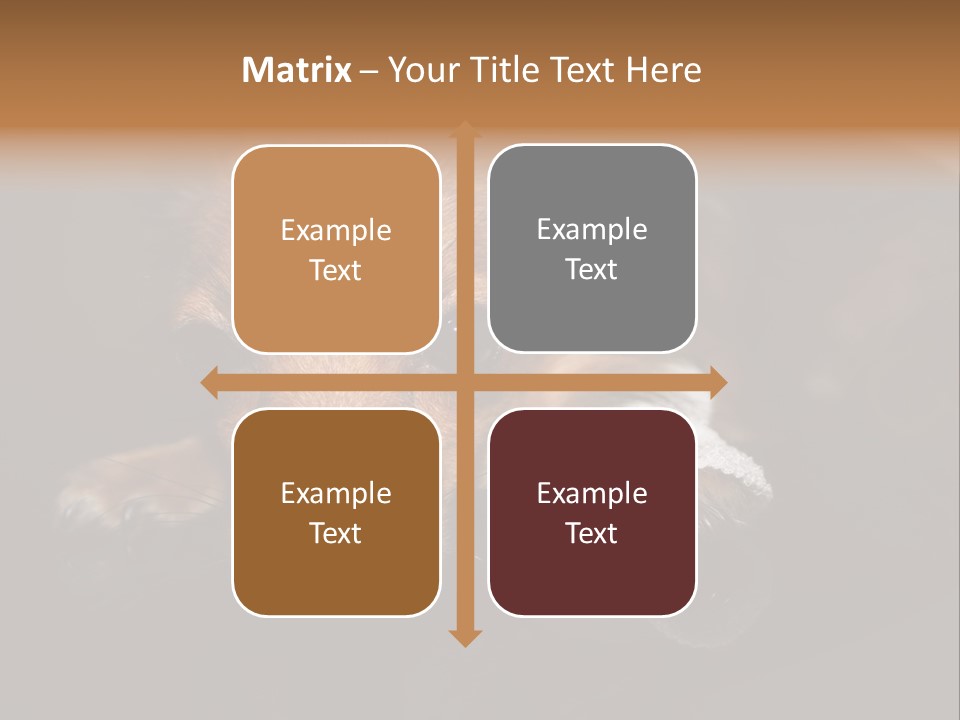 Bandaged Leg Sick Dog Dog Accident PowerPoint Template