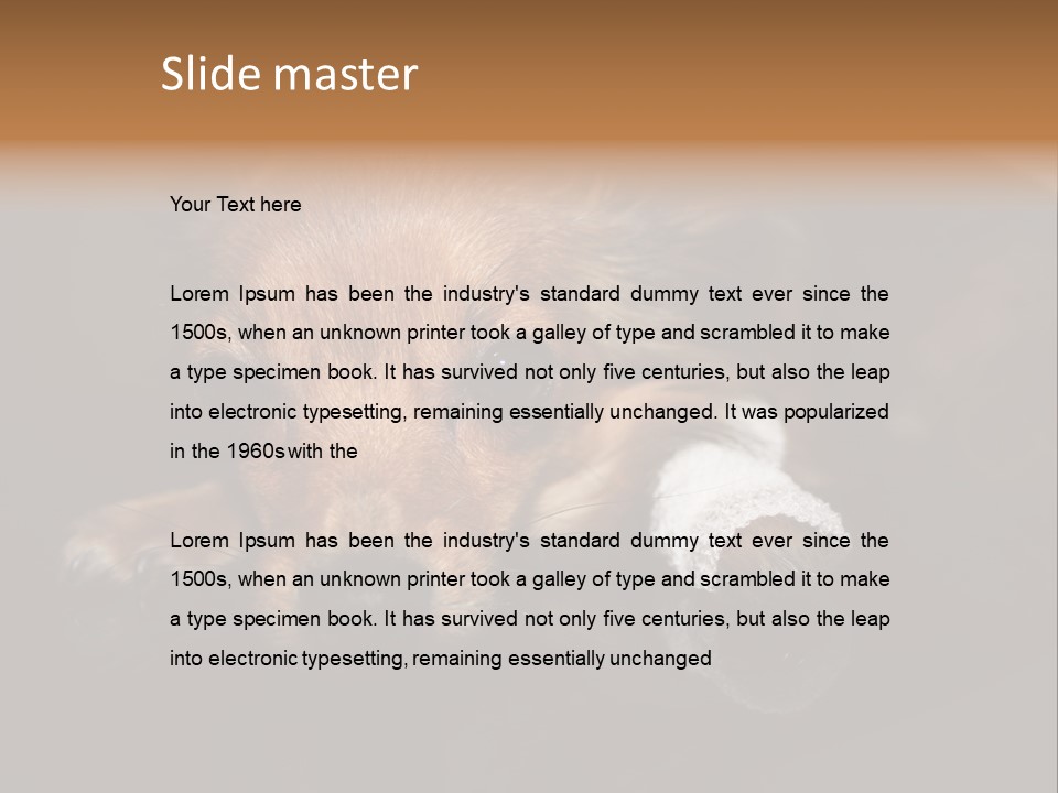 Bandaged Leg Sick Dog Dog Accident PowerPoint Template