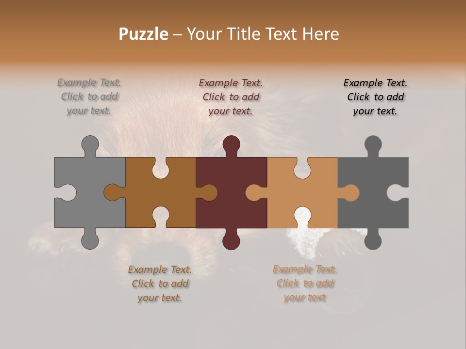 Bandaged Leg Sick Dog Dog Accident PowerPoint Template