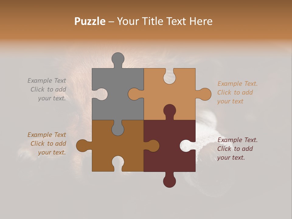 Bandaged Leg Sick Dog Dog Accident PowerPoint Template