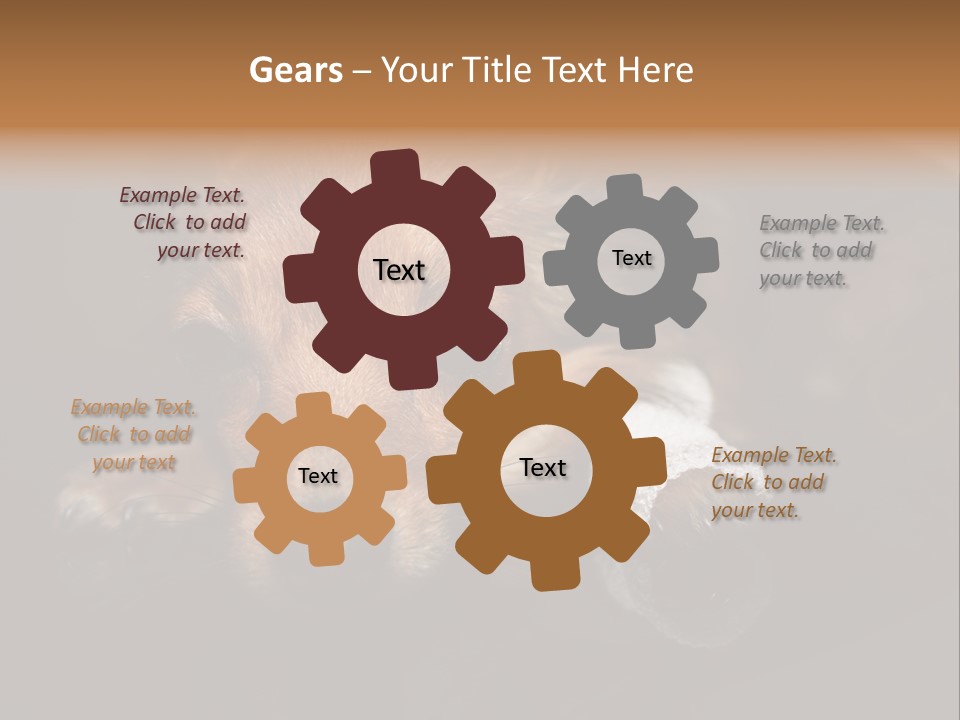 Bandaged Leg Sick Dog Dog Accident PowerPoint Template