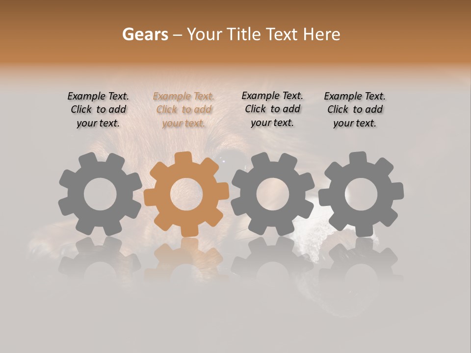 Bandaged Leg Sick Dog Dog Accident PowerPoint Template