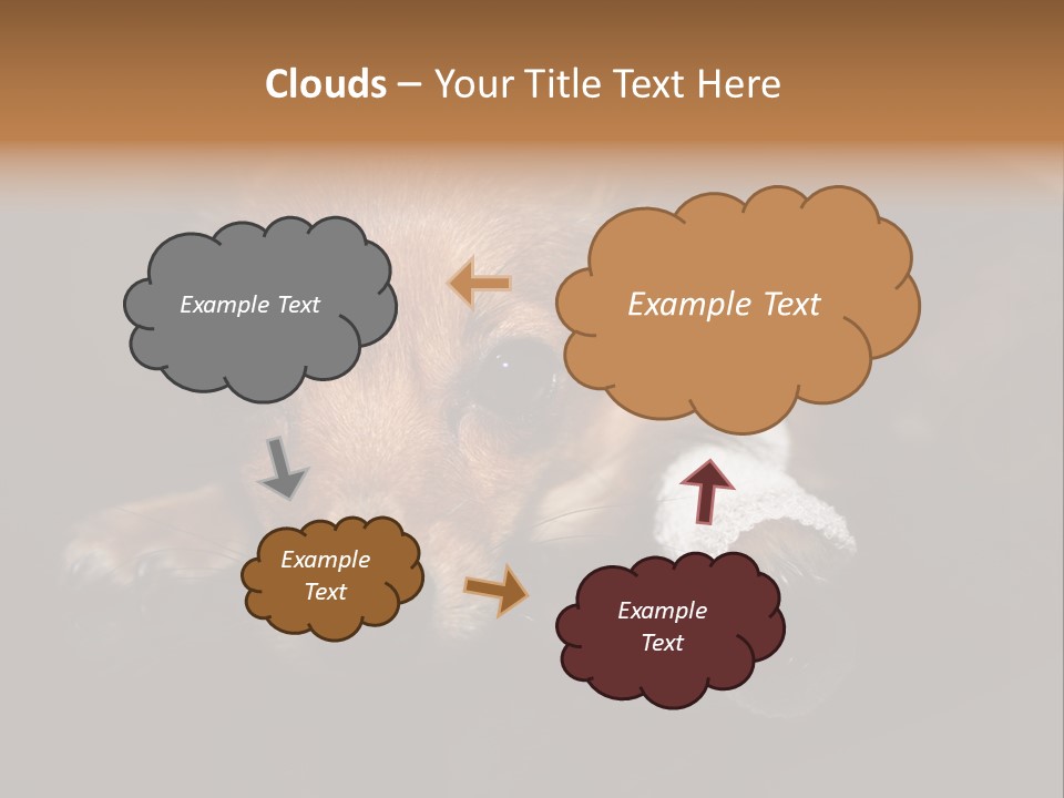 Bandaged Leg Sick Dog Dog Accident PowerPoint Template