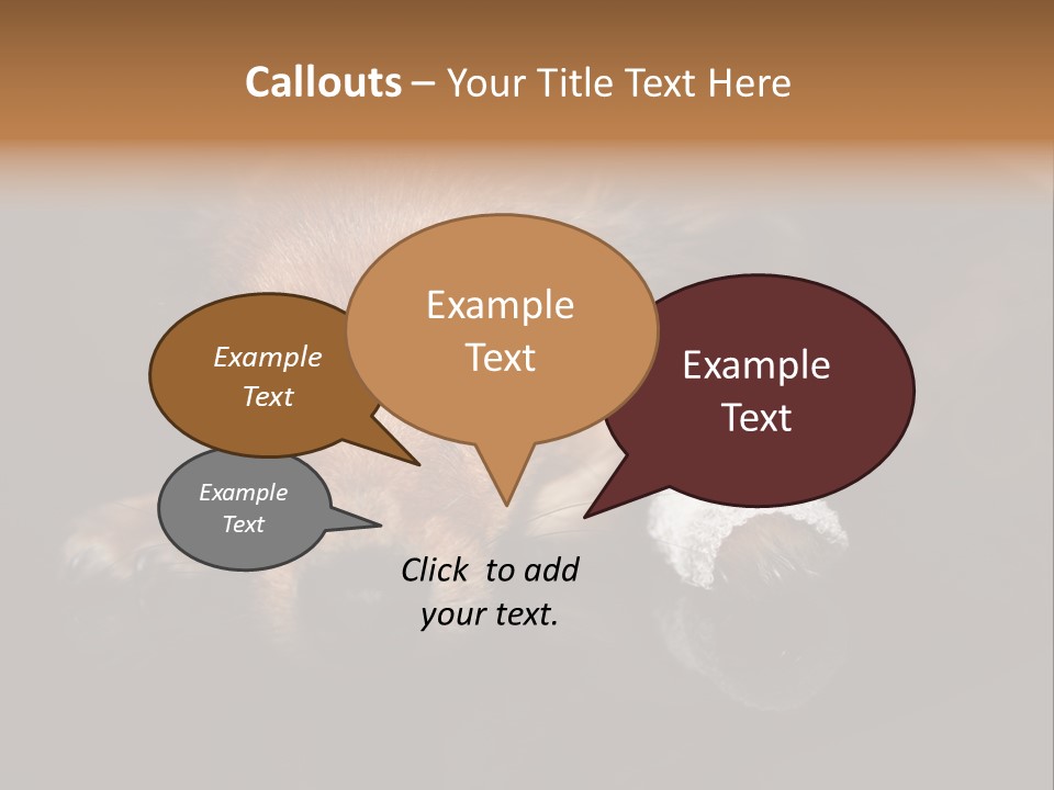 Bandaged Leg Sick Dog Dog Accident PowerPoint Template