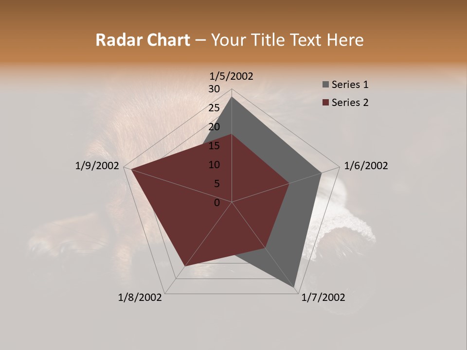 Bandaged Leg Sick Dog Dog Accident PowerPoint Template