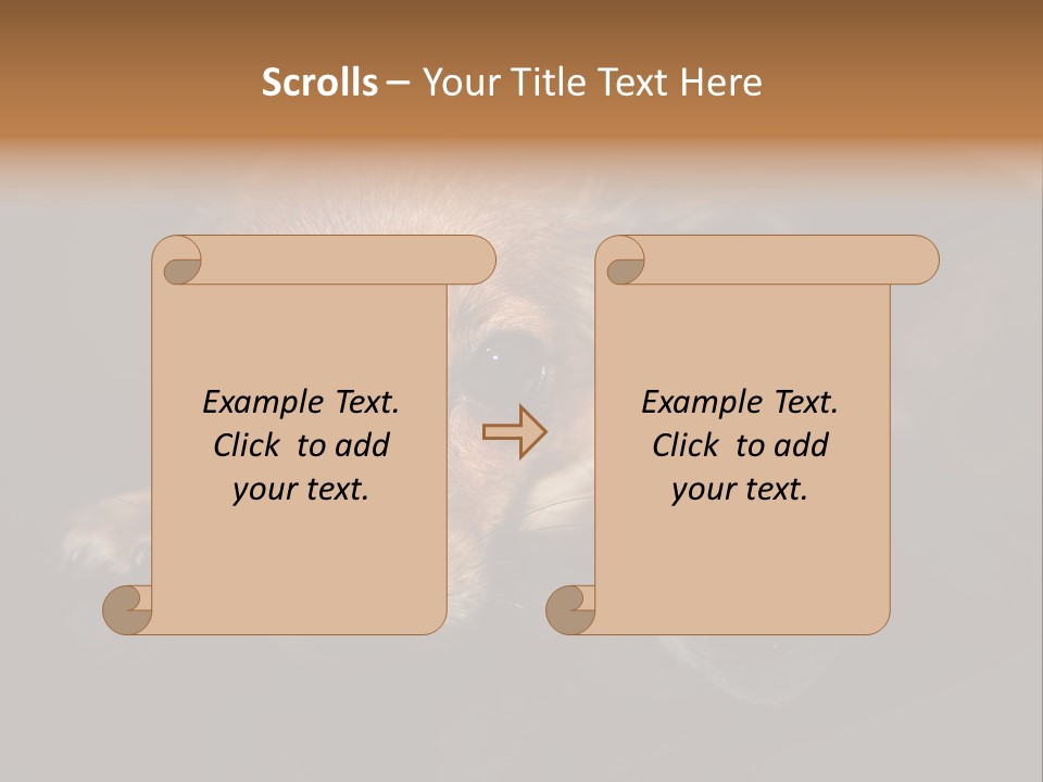 Bandaged Leg Sick Dog Dog Accident PowerPoint Template