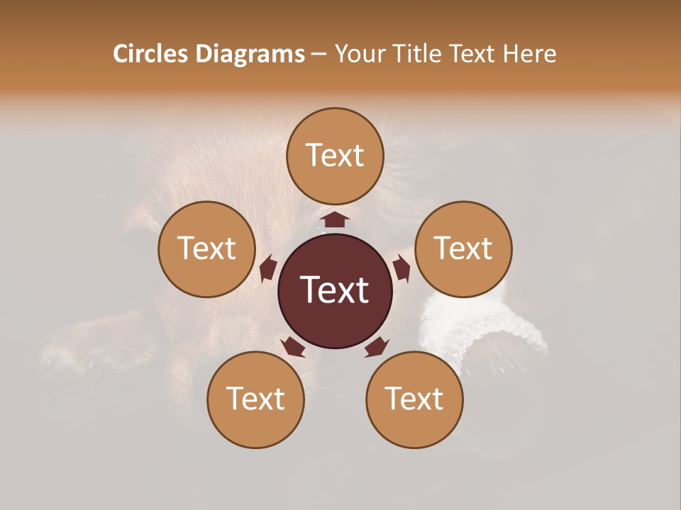 Bandaged Leg Sick Dog Dog Accident PowerPoint Template