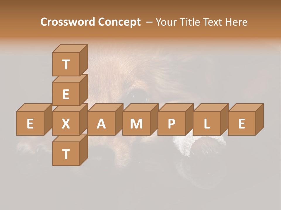 Bandaged Leg Sick Dog Dog Accident PowerPoint Template