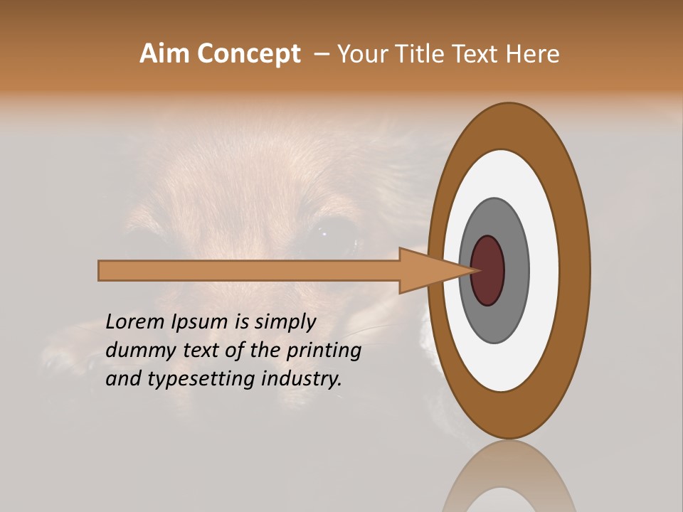 Bandaged Leg Sick Dog Dog Accident PowerPoint Template