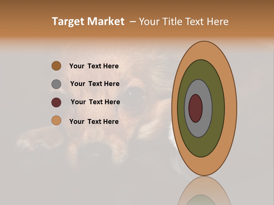 Bandaged Leg Sick Dog Dog Accident PowerPoint Template