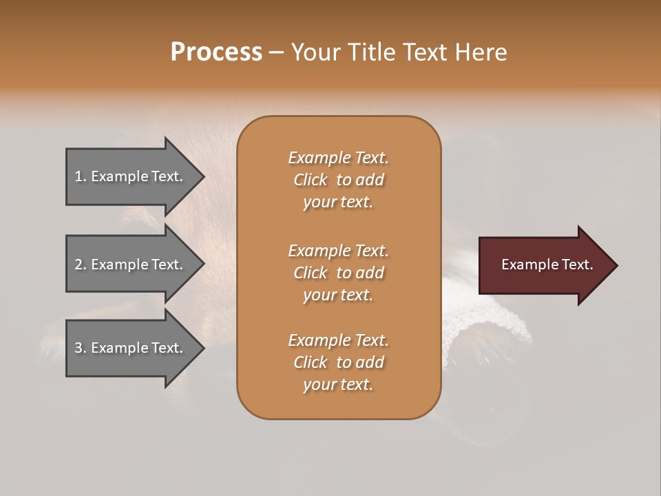 Bandaged Leg Sick Dog Dog Accident PowerPoint Template