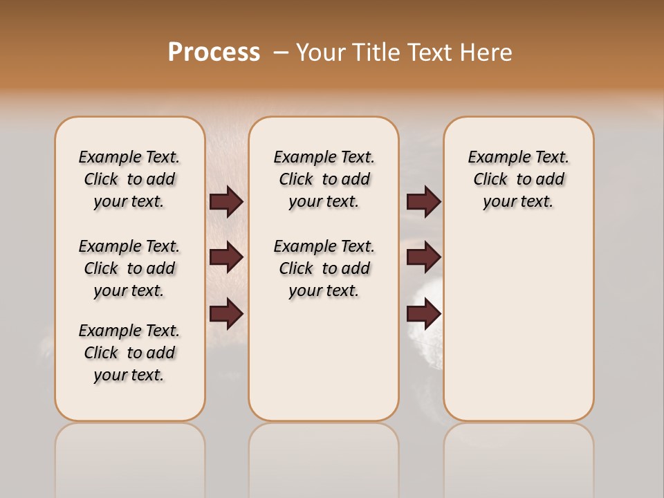 Bandaged Leg Sick Dog Dog Accident PowerPoint Template