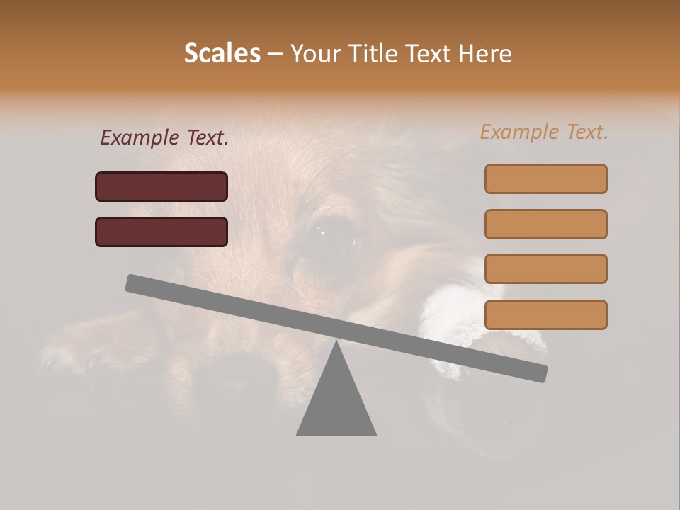 Bandaged Leg Sick Dog Dog Accident PowerPoint Template