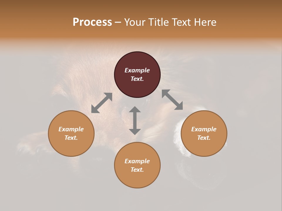 Bandaged Leg Sick Dog Dog Accident PowerPoint Template