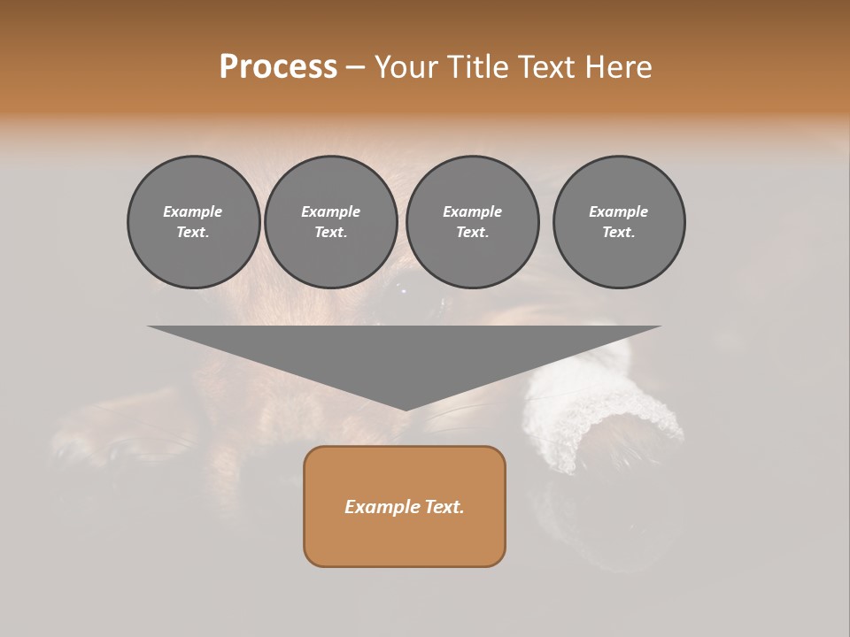 Bandaged Leg Sick Dog Dog Accident PowerPoint Template