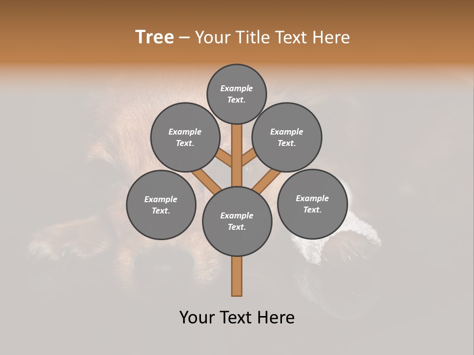 Bandaged Leg Sick Dog Dog Accident PowerPoint Template