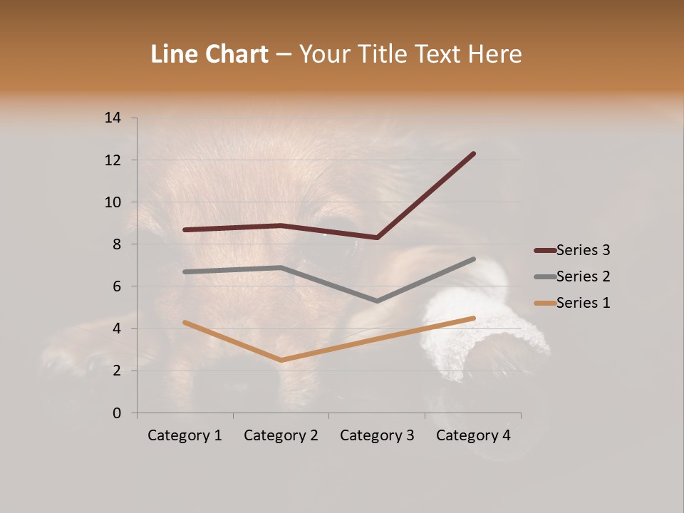 Bandaged Leg Sick Dog Dog Accident PowerPoint Template