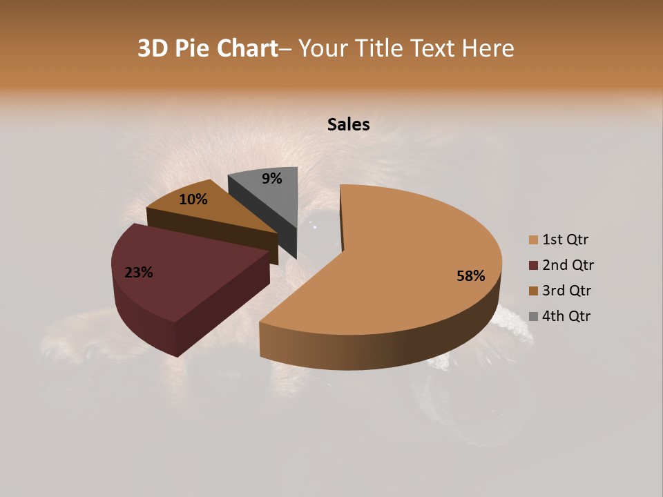 Bandaged Leg Sick Dog Dog Accident PowerPoint Template