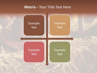 White Western Traditional PowerPoint Template