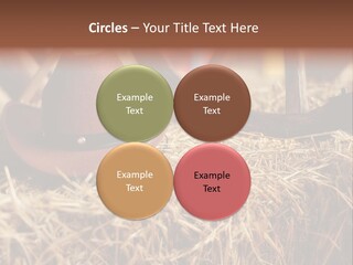 White Western Traditional PowerPoint Template