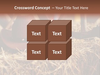 White Western Traditional PowerPoint Template