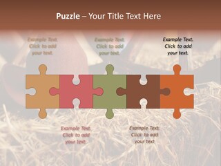 White Western Traditional PowerPoint Template