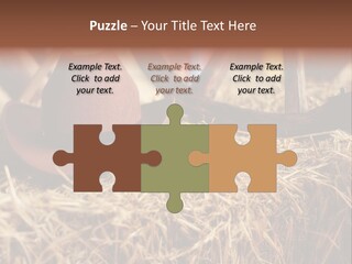 White Western Traditional PowerPoint Template