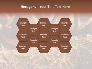 White Western Traditional PowerPoint Template