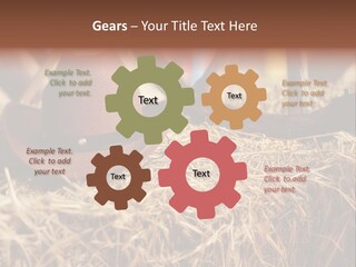 White Western Traditional PowerPoint Template