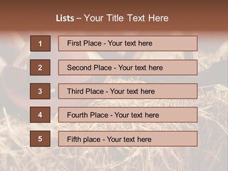 White Western Traditional PowerPoint Template